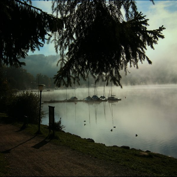 Schluchsee mit Nebel
