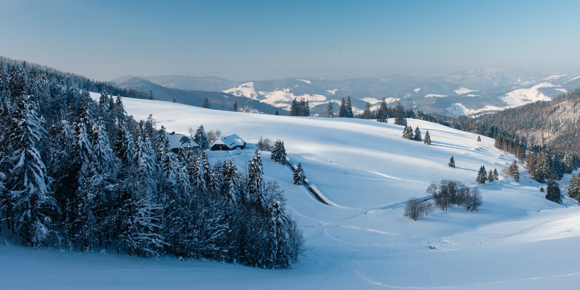 Panorama-Ansicht einer weiten, verschneiten Schwarzwald-Landschaft unter klarem blauem Himmel.