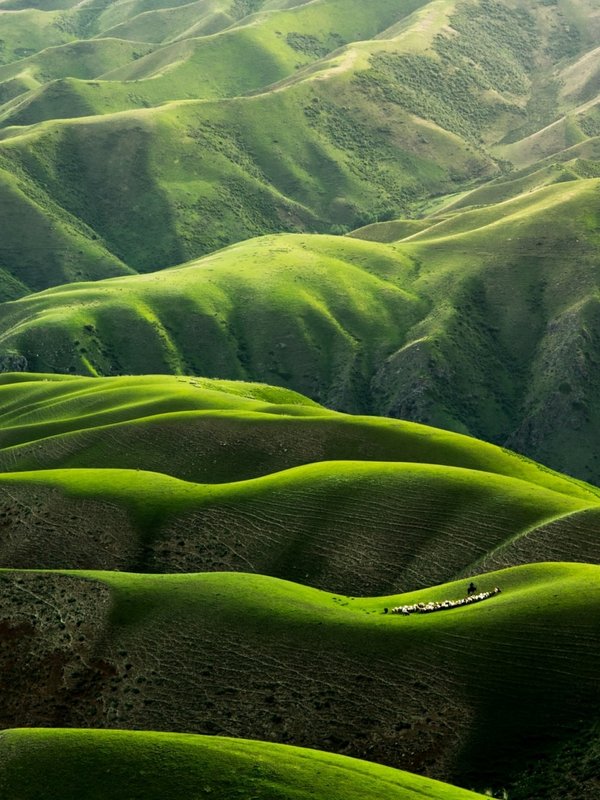 Satellitenaufnahme einer grünen, hügeligen Gebirgslandschaft mit tiefen Tälern.