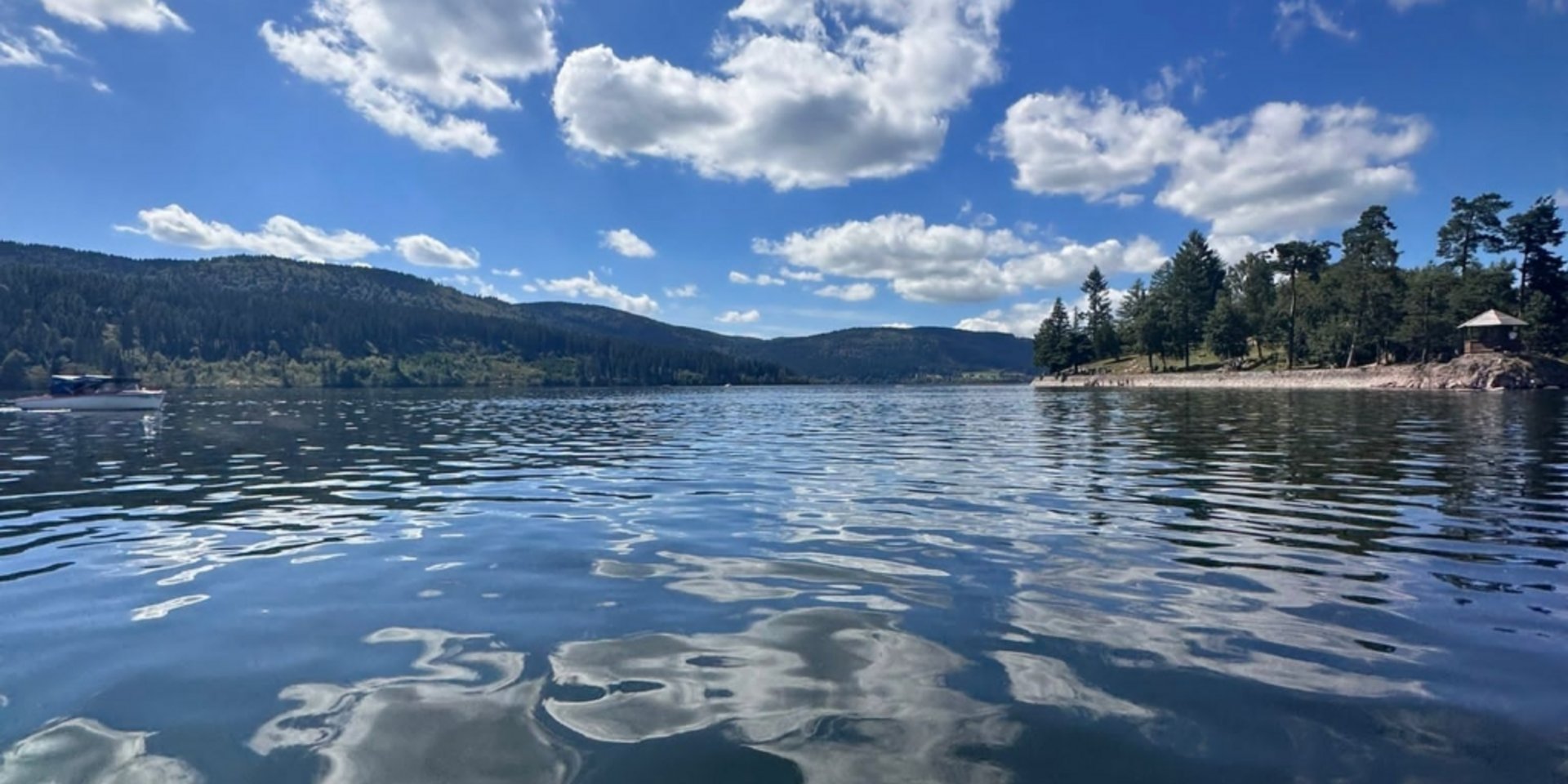 Blick von einem Boot aus auf das glitzernde Wasser und die bewaldeten Ufer des Schluchsees.
