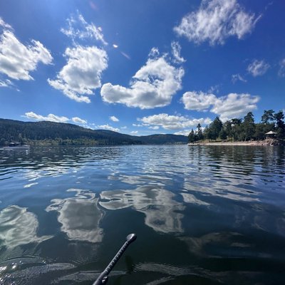 Blick von einem Boot aus auf das glitzernde Wasser und die bewaldeten Ufer des Schluchsees.