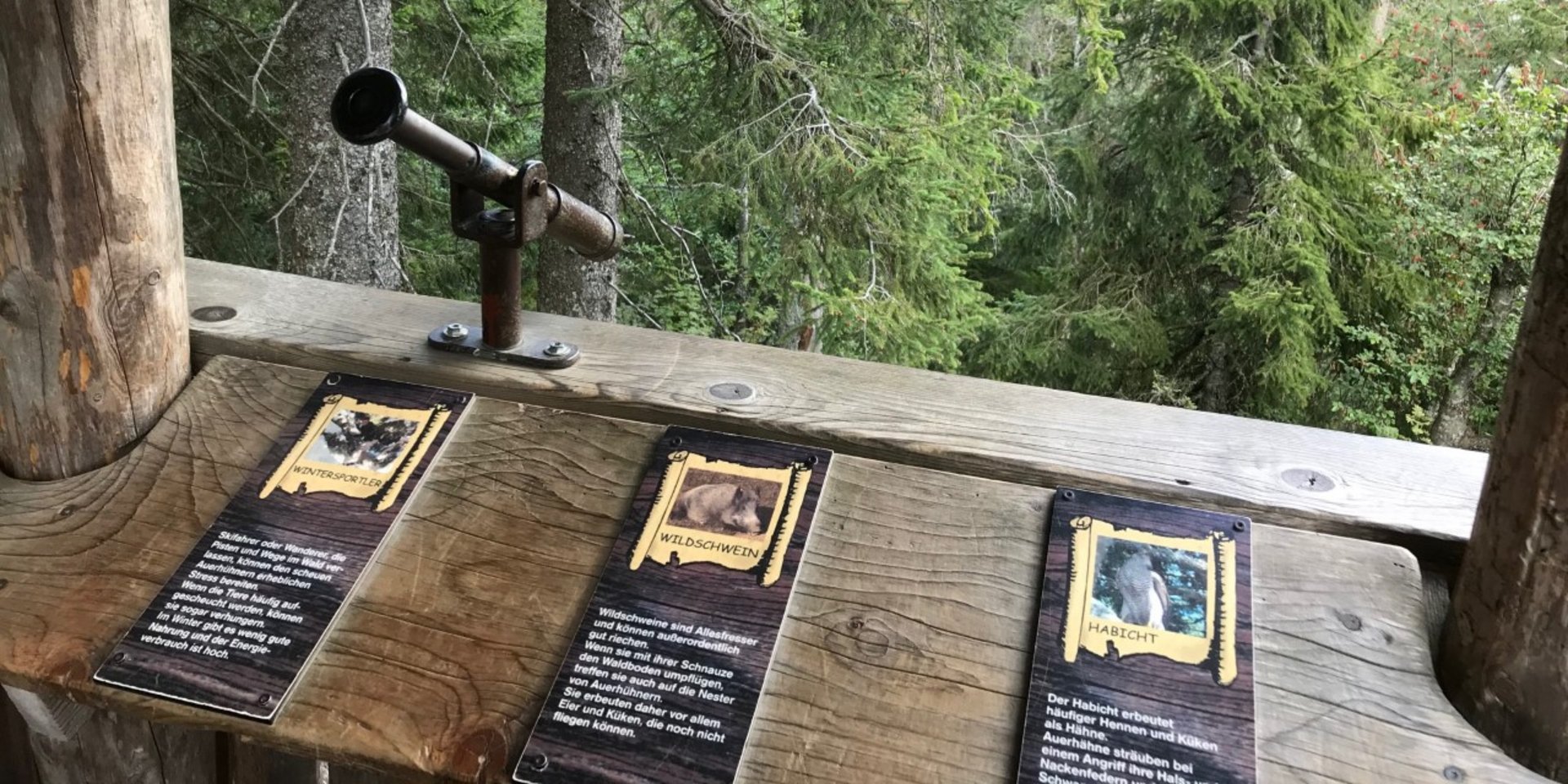 Infotafeln auf einem Waldlehrpfad erklären spielerisch die Natur rund um den Schluchsee.