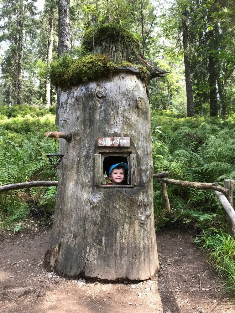 Ein hohler Baumstamm dient als spielerisches Entdecker-Element auf dem Kinderwanderweg.