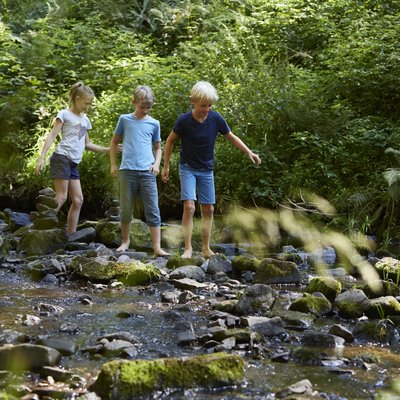 Kinder beim Survival-Training: Gemeinsames Entdecken und Spielen an einem Bachlauf.