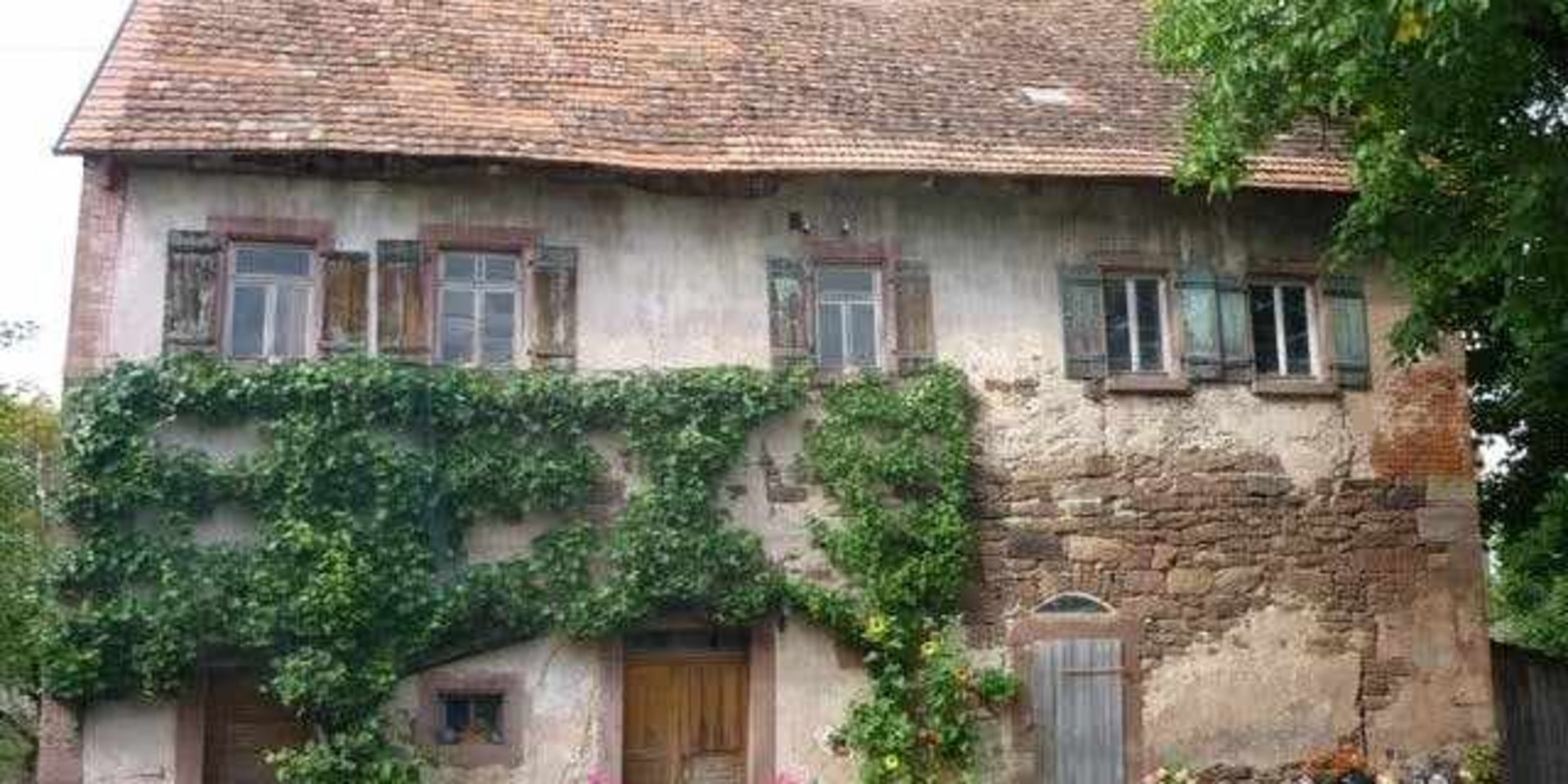 Fassade eines geschichtsträchtigen Steingebäudes mit Rankpflanzen im Museumsdorf.