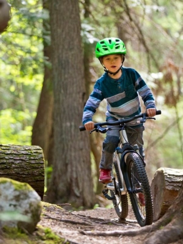 Ein Junge mit Helm und Sportkleidung bei einer Mountainbike-Tour durch den dichten Tannenwald.
