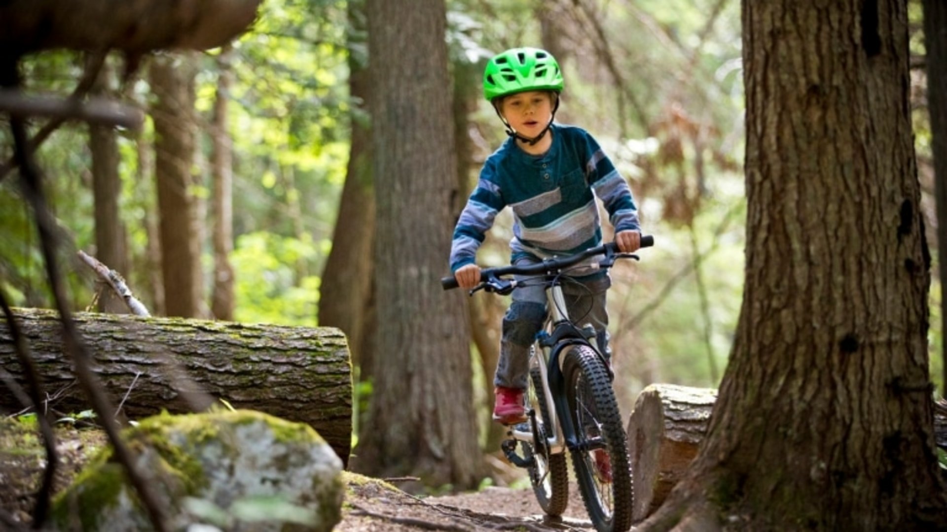 Ein junger Fahrradfahrer fährt duch den Wald