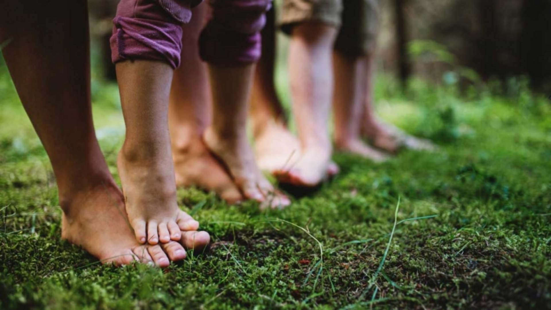 Mehrere Personen stehen barfuß auf weichem, grünem Moos im Schwarzwaldwald.