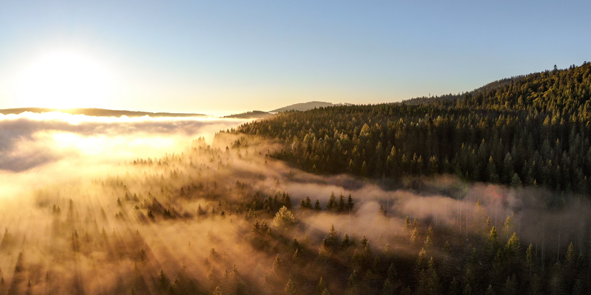 Schwarzwald-Landschaft mit Nebel und Sonne