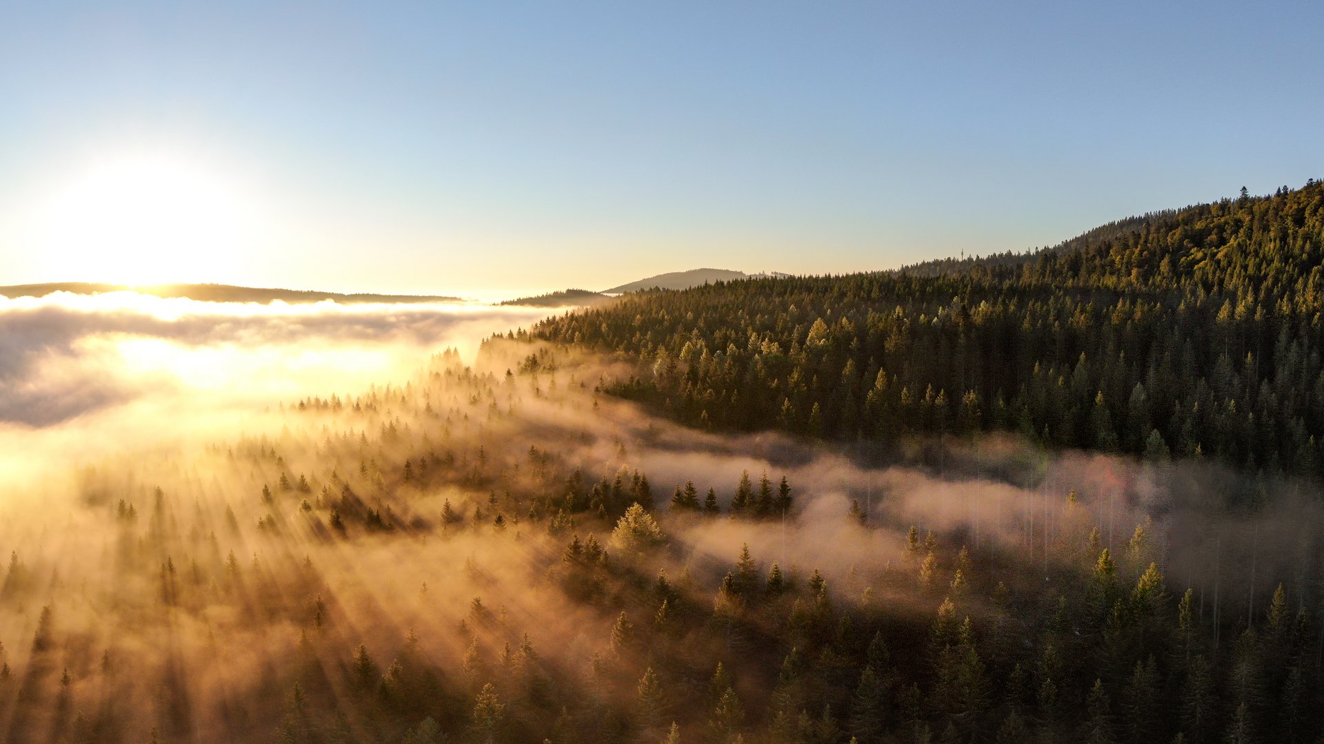 Schwarzwald-Landschaft mit Nebel und Sonne