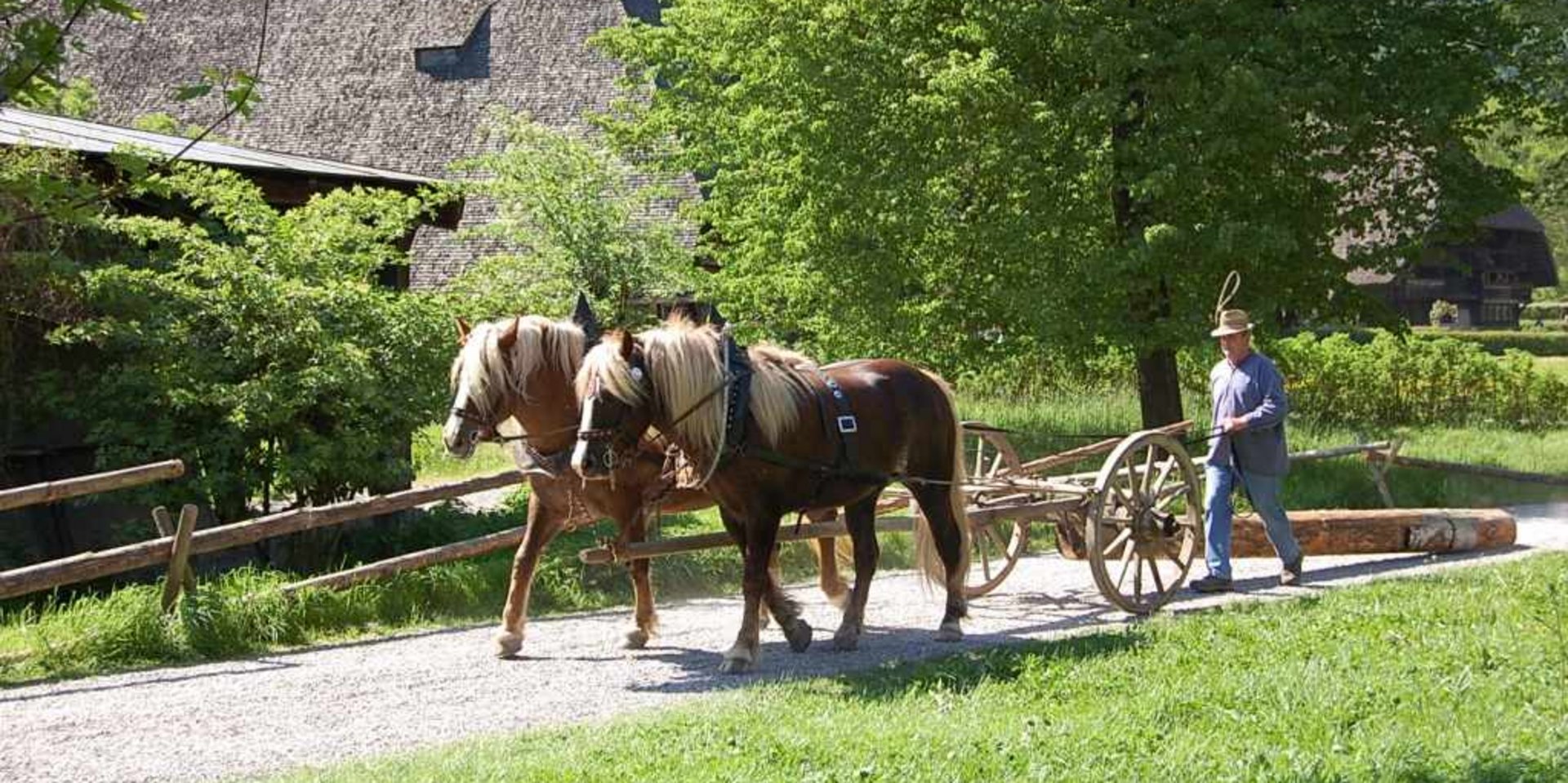 Ein Gespann aus zwei Pferden zieht einen Wagen vor einem historischen Gebäude.