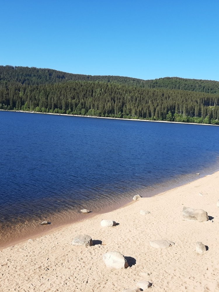 Sandstrand am Schluchseeufer unter blauem Himmel – Naturerlebnis Schwarzwald.