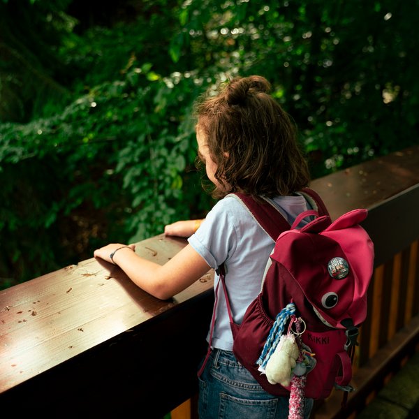 Ein Kind blickt von einer Holzbrücke in die tiefe, grüne Natur des Hochschwarzwalds.