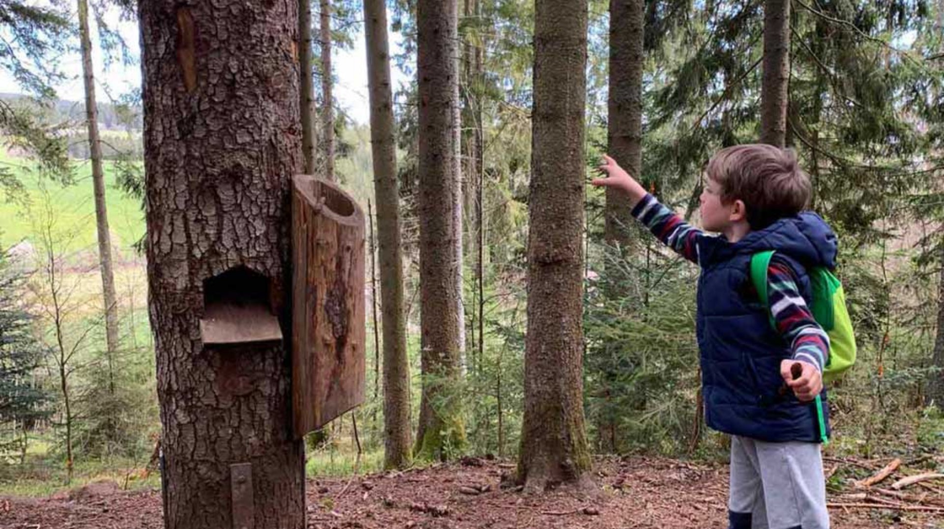 Ein Junge entdeckt eine hölzerne Station auf dem Kinderwanderweg im tiefen Wald.