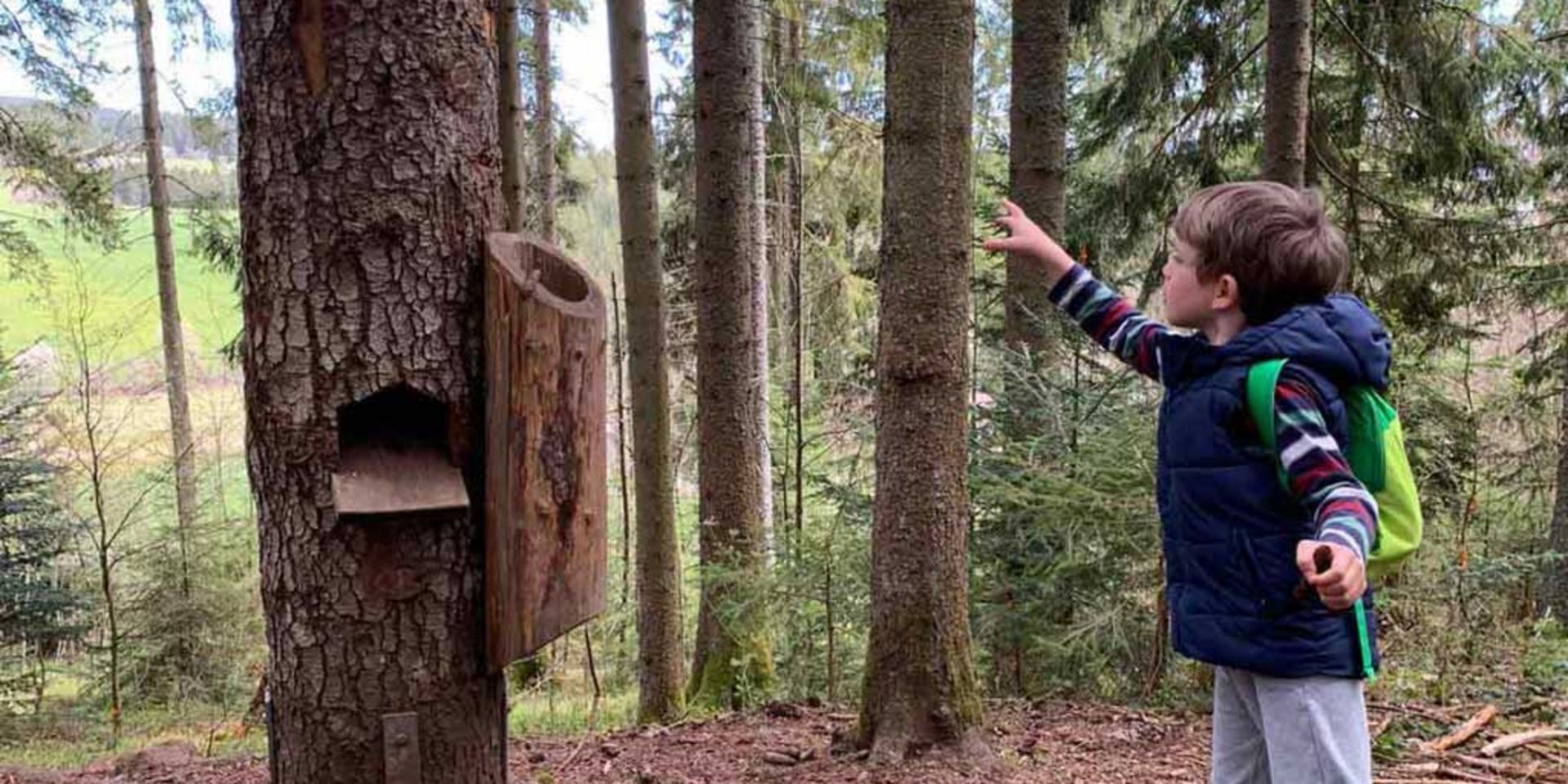 Ein Junge entdeckt eine hölzerne Station auf dem Kinderwanderweg im tiefen Wald.