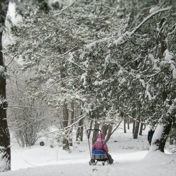 Ein Kind fährt mit einem Schlitten durch eine tief verschneite Winterlandschaft im Wald.