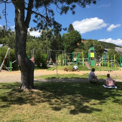 Ein schattiger Waldspielplatz mit Klettergerüsten unter hohen Bäumen im Schwarzwald.