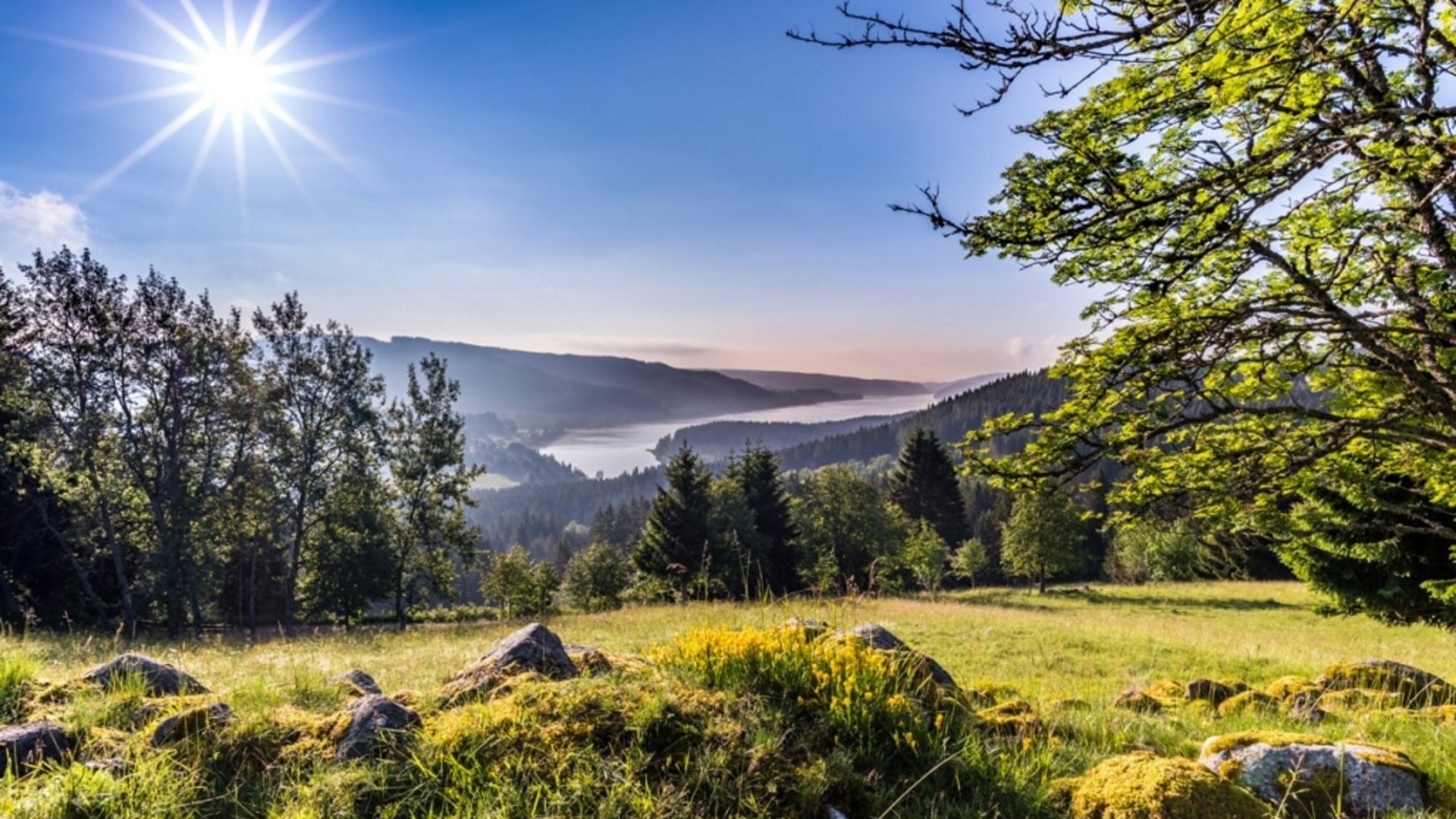 Sonnige Aussicht auf den Schluchsee – ein Highlight im Schwarzwald.