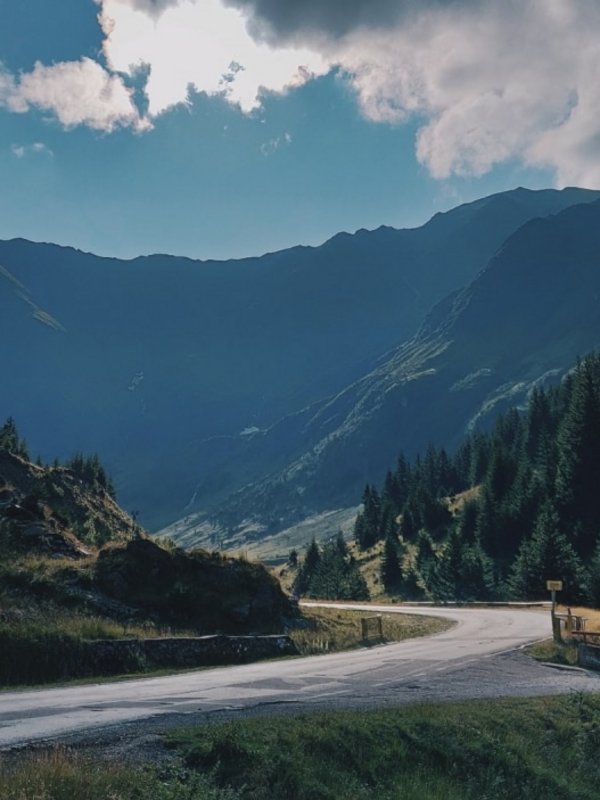 Eine kurvige Passstraße windet sich durch eine bewaldete Berglandschaft im Sonnenlicht.