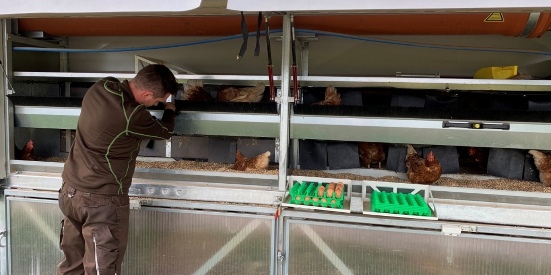 Ein Mitarbeiter bei der täglichen Arbeit im Stall des Erlebnisbauernhofs Käppelehof im Schwarzwald.