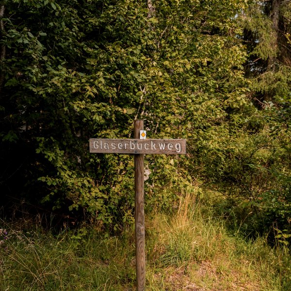 Ein hölzerner Wegweiser markiert die Wander- und Radwege in der unberührten Natur des Hochschwarzwalds.