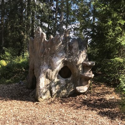 Ein markanter, geschnitzter Baumstumpf als märchenhafte Station auf dem Wichtelpfad für Kinder im Schwarzwald.