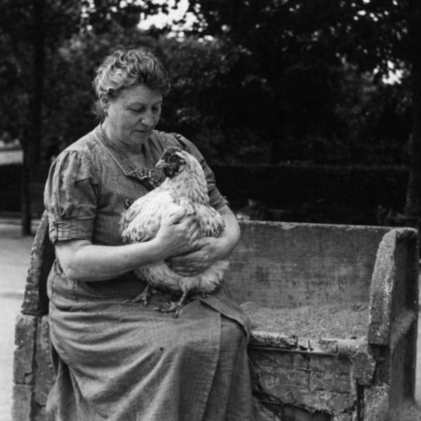 eine Frau sitzt auf einer Holzbank und hält ein Hühnchen