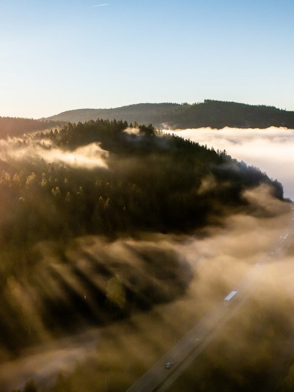 Blick über das Nebelmeer in den Tälern des Schwarzwaldes bei Sonnenaufgang.