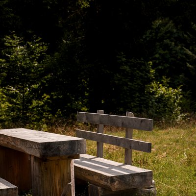 Rustikale Holz-Sitzgruppe an einem sonnigen Waldrand nahe dem Hotel Vier Jahreszeiten am Schluchsee.