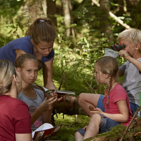 Eine Gruppe von Kindern erkundet mit einer Betreuerin spielerisch den Schwarzwaldwald beim Hotel Vier Jahreszeiten.