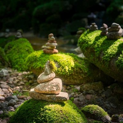 Kunstvoll aufgestapelte Steinmännchen (Zen-Steine) auf einem grünen Mooshügel im Wald.