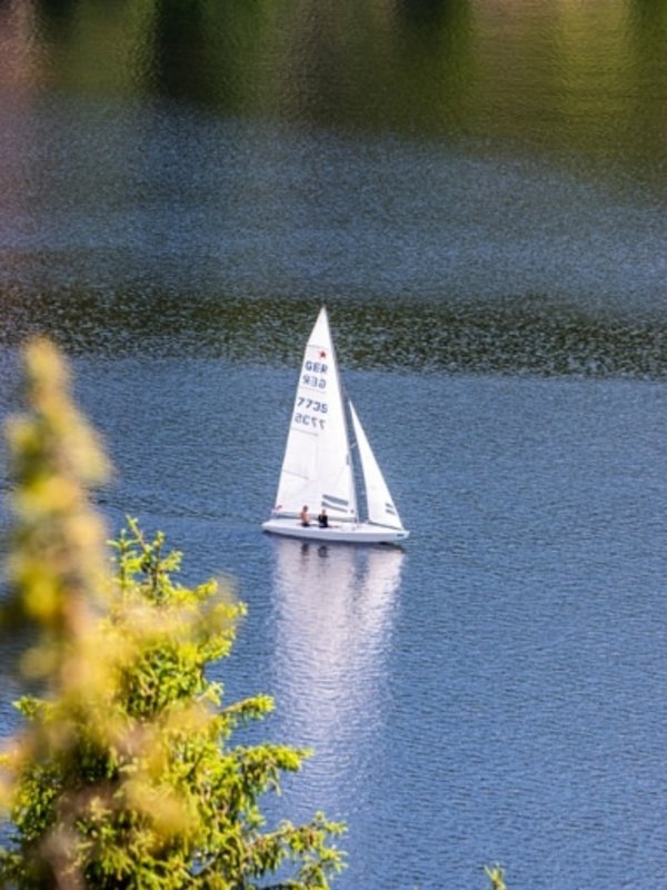 Ein weißes Segelboot gleitet bei ruhigem Wetter über den tiefblauen Schluchsee im Schwarzwald.
