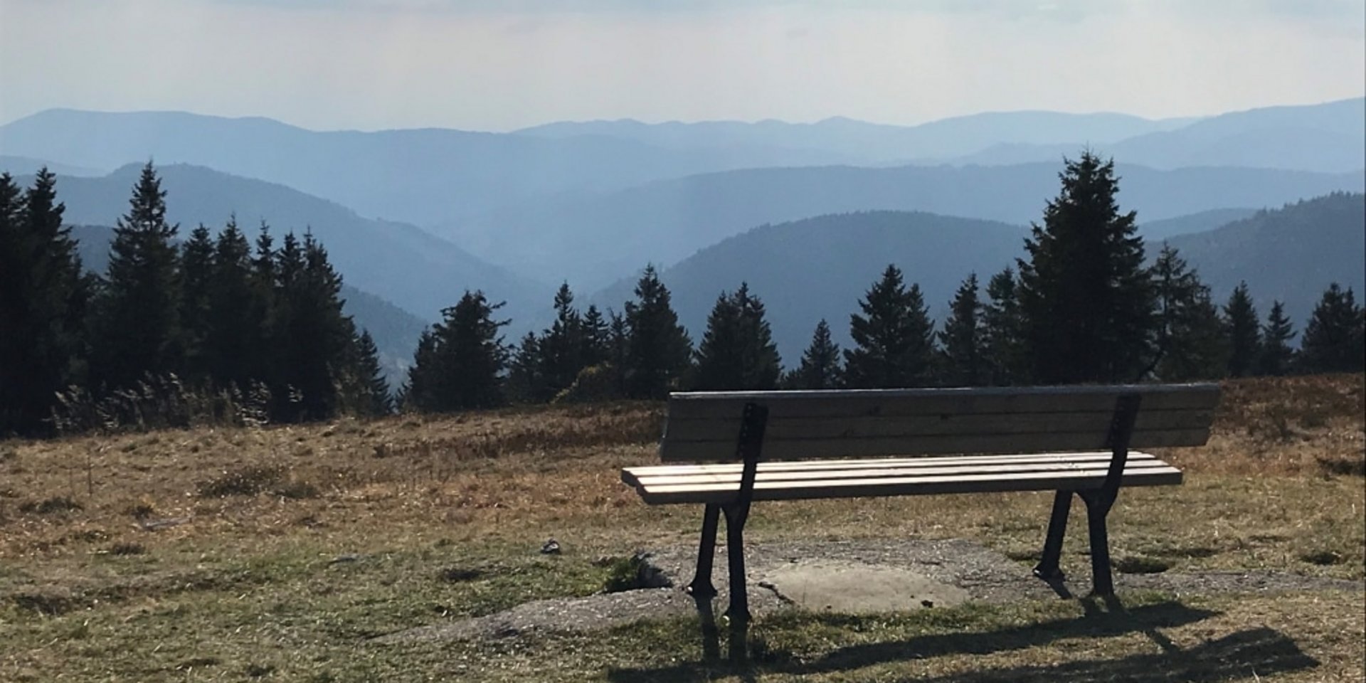 Einsame Holzbank am Feldberg mit Panoramablick über die Schwarzwald-Gipfel.