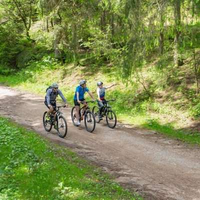 Eine Gruppe von Radfahrern auf einer E-Bike-Tour durch die idyllische Waldlandschaft im Schwarzwald.