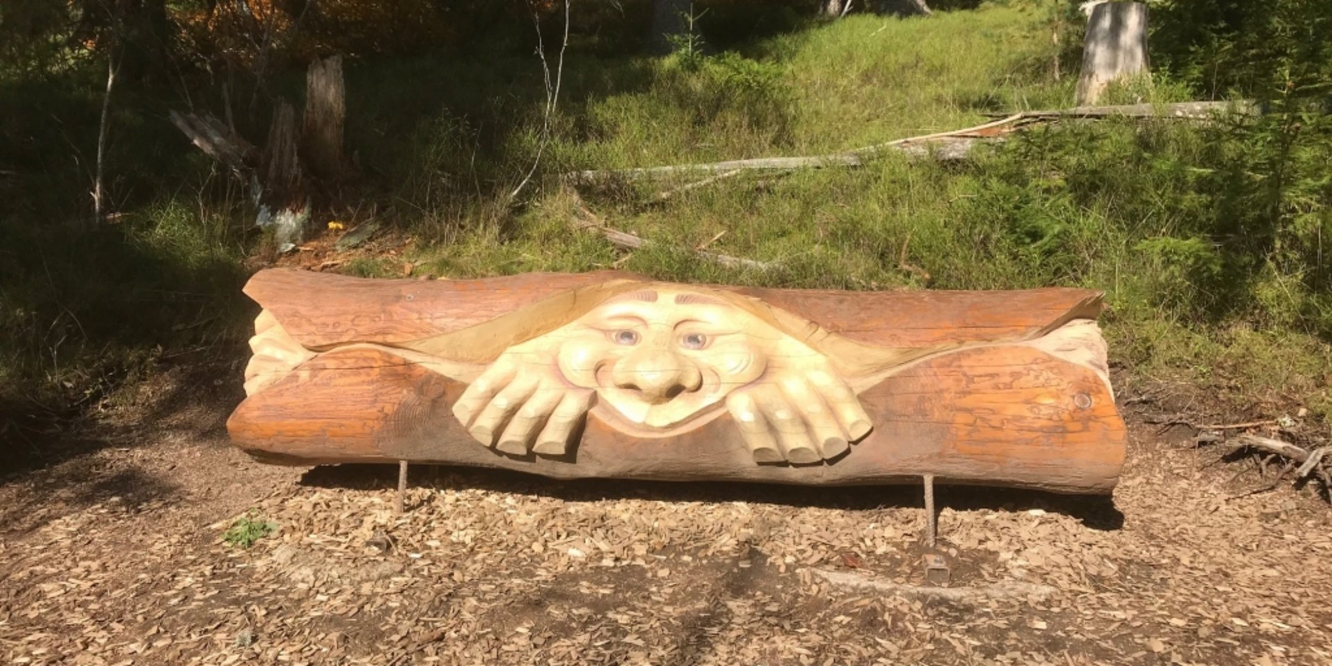 Ein kunstvoll geschnitztes Holzelement am Wegrand im Erlebnispark Schlüwana.