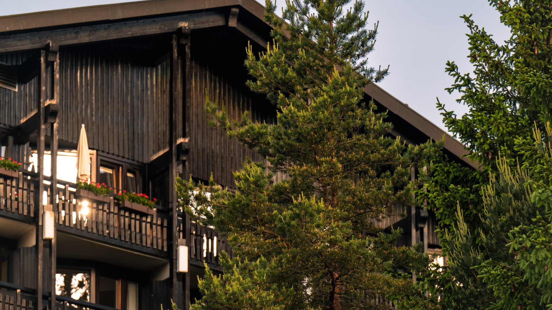 Außenansicht der Hotel-Fassade mit Holzbalkonen, umgeben von Tannen im Schwarzwald.