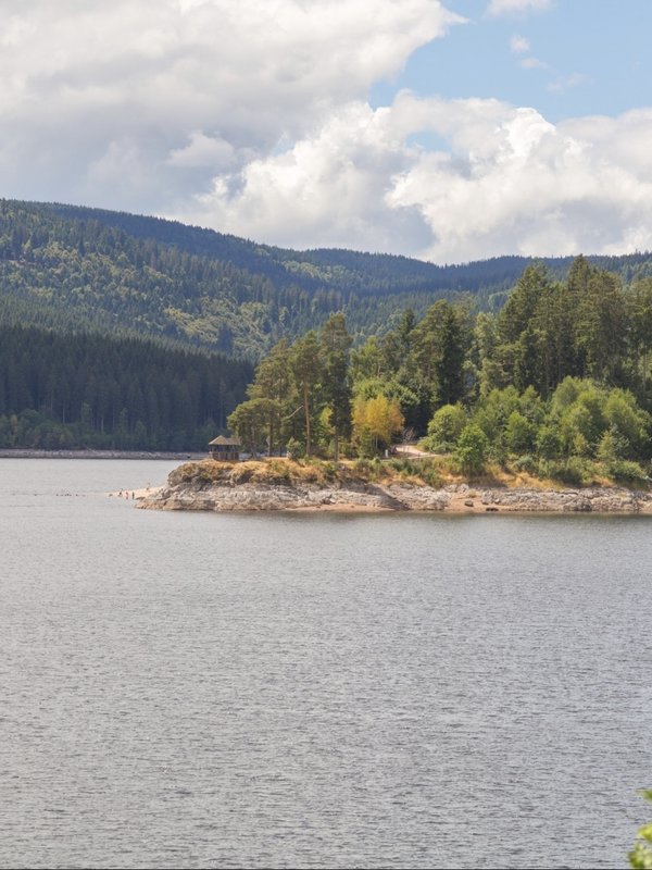 Eine kleine, bewaldete Insel im ruhigen Schluchsee unter einem bewölkten Himmel im Schwarzwald.