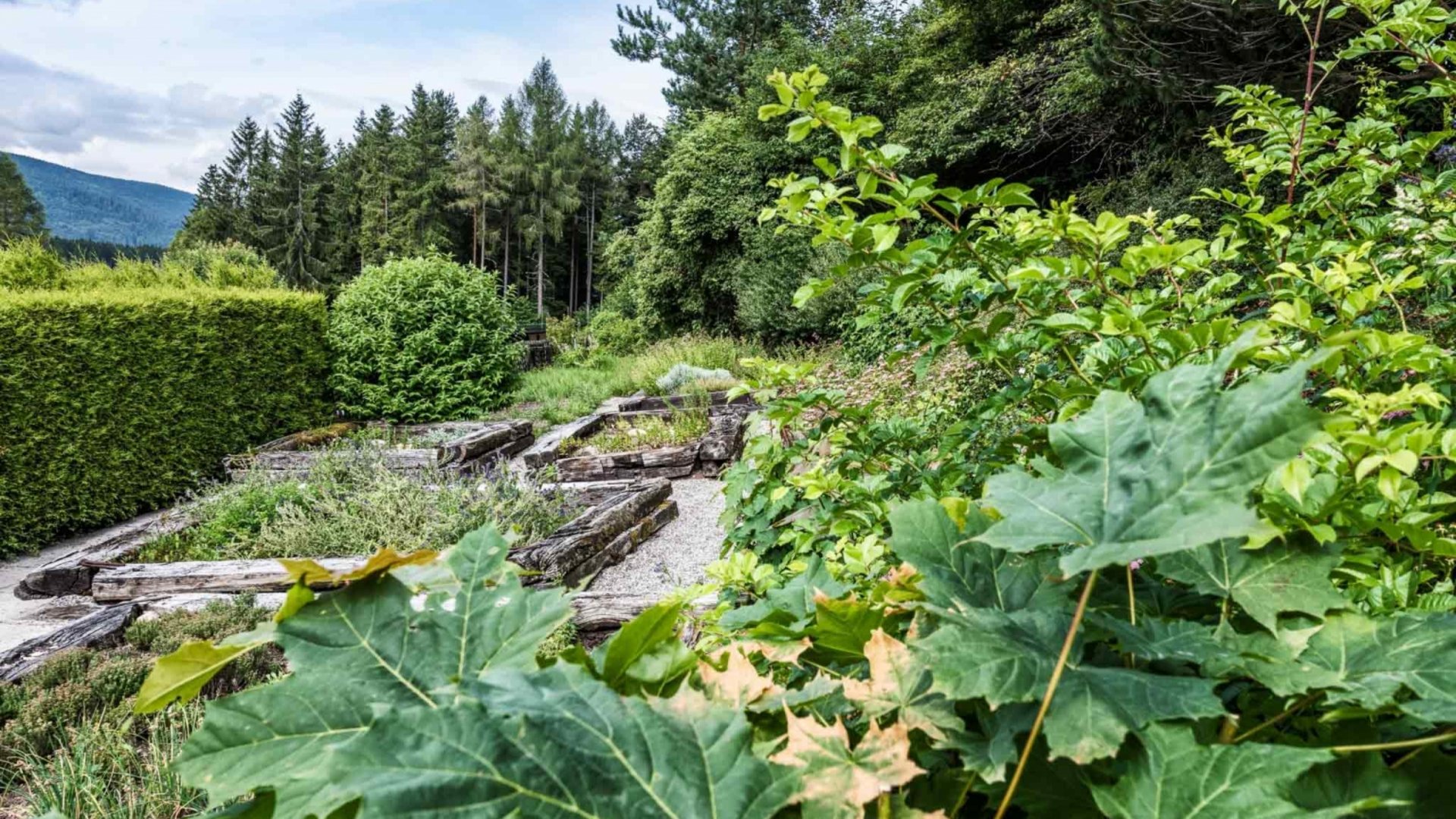 Üppig blühende Pflanzen und Kräuter im hoteleigenen Kräutergarten des Hotels Vier Jahreszeiten.