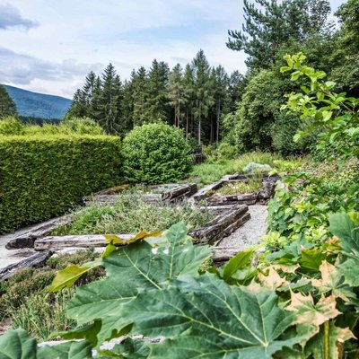 Üppig blühende Pflanzen und Kräuter im hoteleigenen Kräutergarten des Hotels Vier Jahreszeiten.