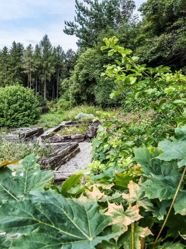 Üppig blühende Pflanzen und Kräuter im hoteleigenen Kräutergarten des Hotels Vier Jahreszeiten.
