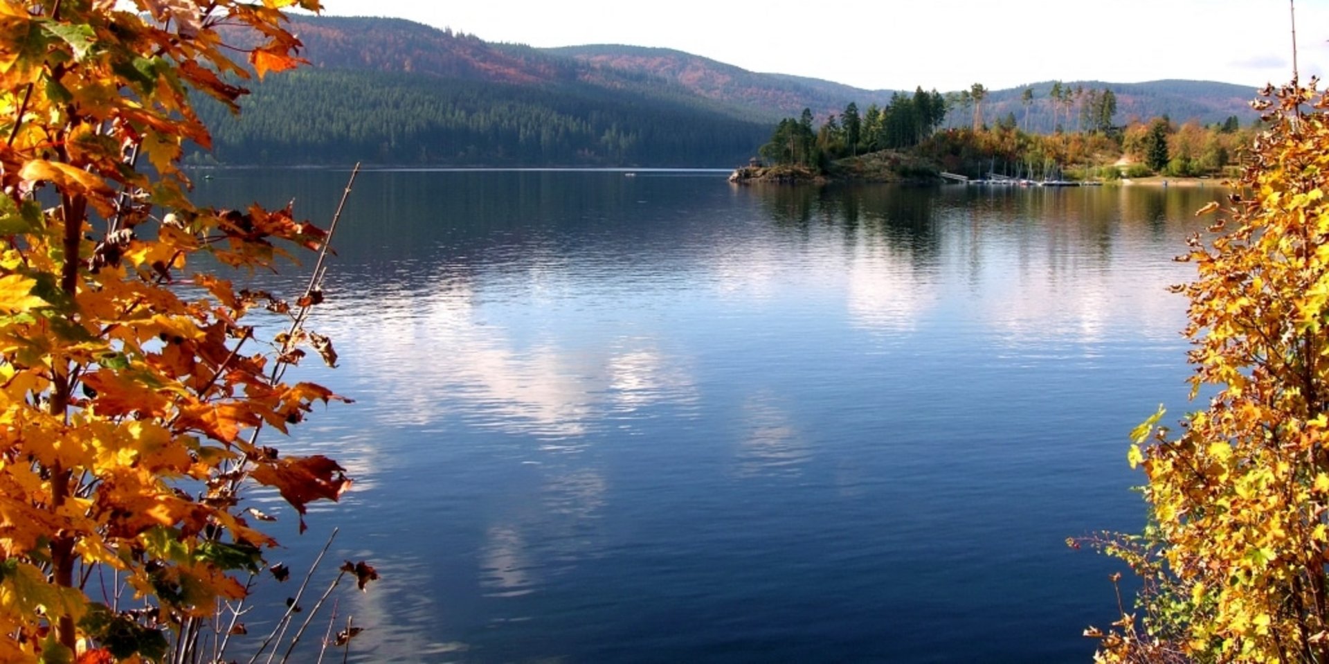 Blick auf den herbstlichen Schluchsee von der Schutzhütte Amalienruhe aus.