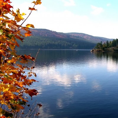 Blick auf den herbstlichen Schluchsee von der Schutzhütte Amalienruhe aus.