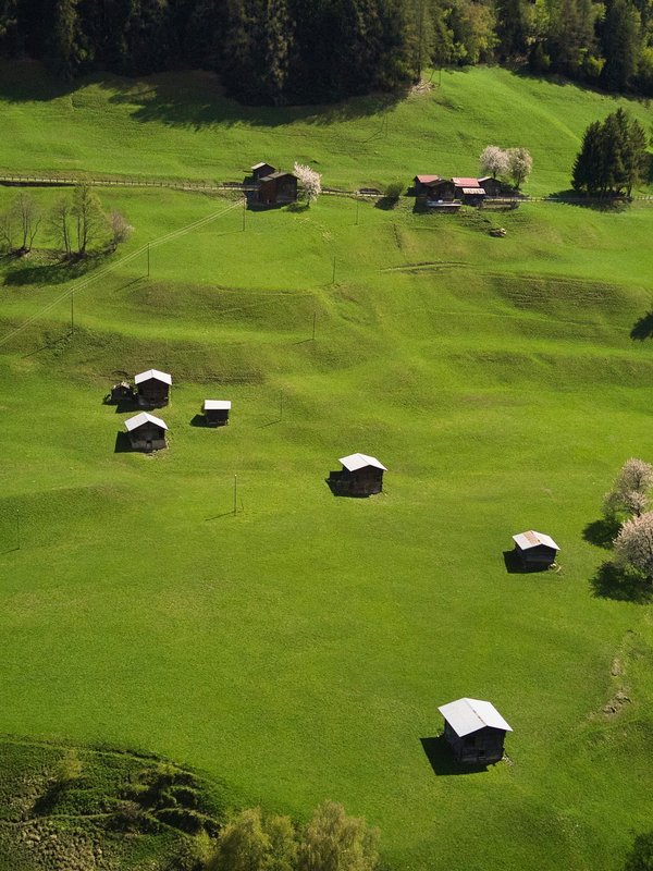 Panorama-Blick auf eine weite grüne Bergwiese mit traditionellen kleinen Holzhütten im Hochschwarzwald.