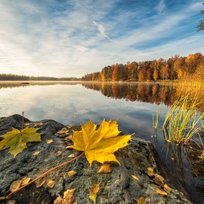 Blick über einen ruhigen See im Schwarzwald, dessen Ufer in leuchtenden Herbstfarben erstrahlen.