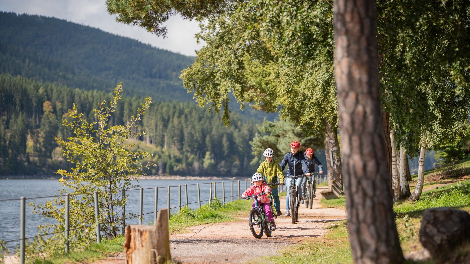 Familienausflug auf dem Fahrrad: Radfahrer auf einem sonnigen Waldweg entlang des Schluchsees.