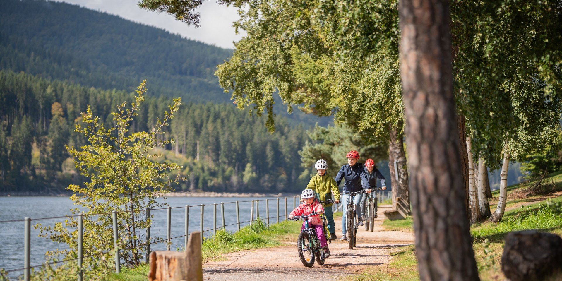 Familienausflug auf dem Fahrrad: Radfahrer auf einem sonnigen Waldweg entlang des Schluchsees.