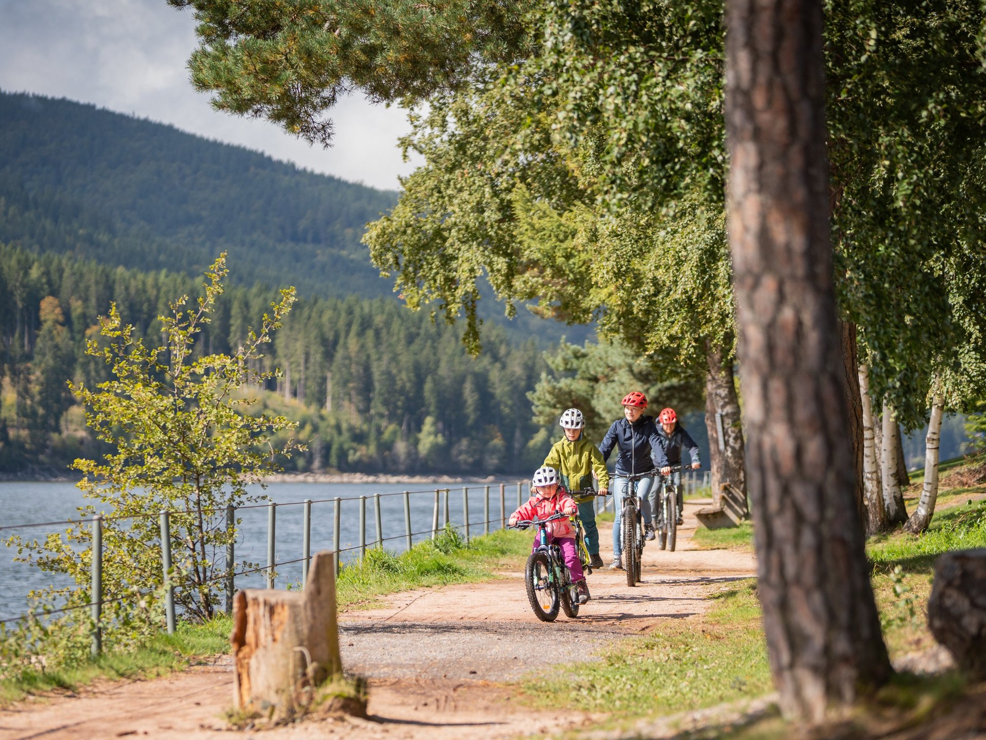 Familienausflug auf dem Fahrrad: Radfahrer auf einem sonnigen Waldweg entlang des Schluchsees.