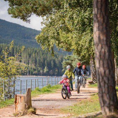 Familienausflug auf dem Fahrrad: Radfahrer auf einem sonnigen Waldweg entlang des Schluchsees.