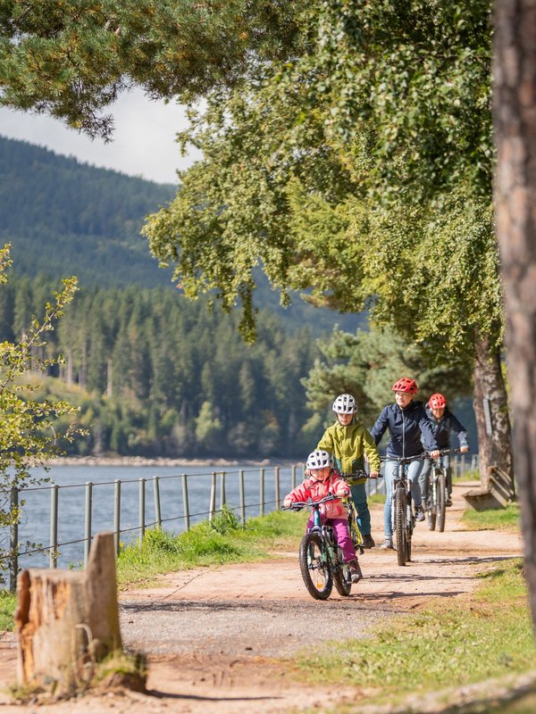 Familienausflug auf dem Fahrrad: Radfahrer auf einem sonnigen Waldweg entlang des Schluchsees.