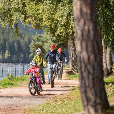 Familienausflug auf dem Fahrrad: Radfahrer auf einem sonnigen Waldweg entlang des Schluchsees.